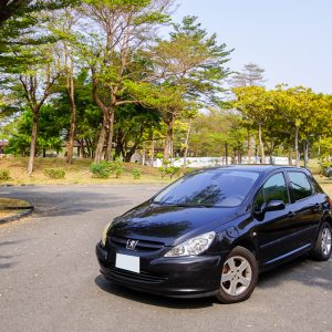 富祥汽車 寶獅 307