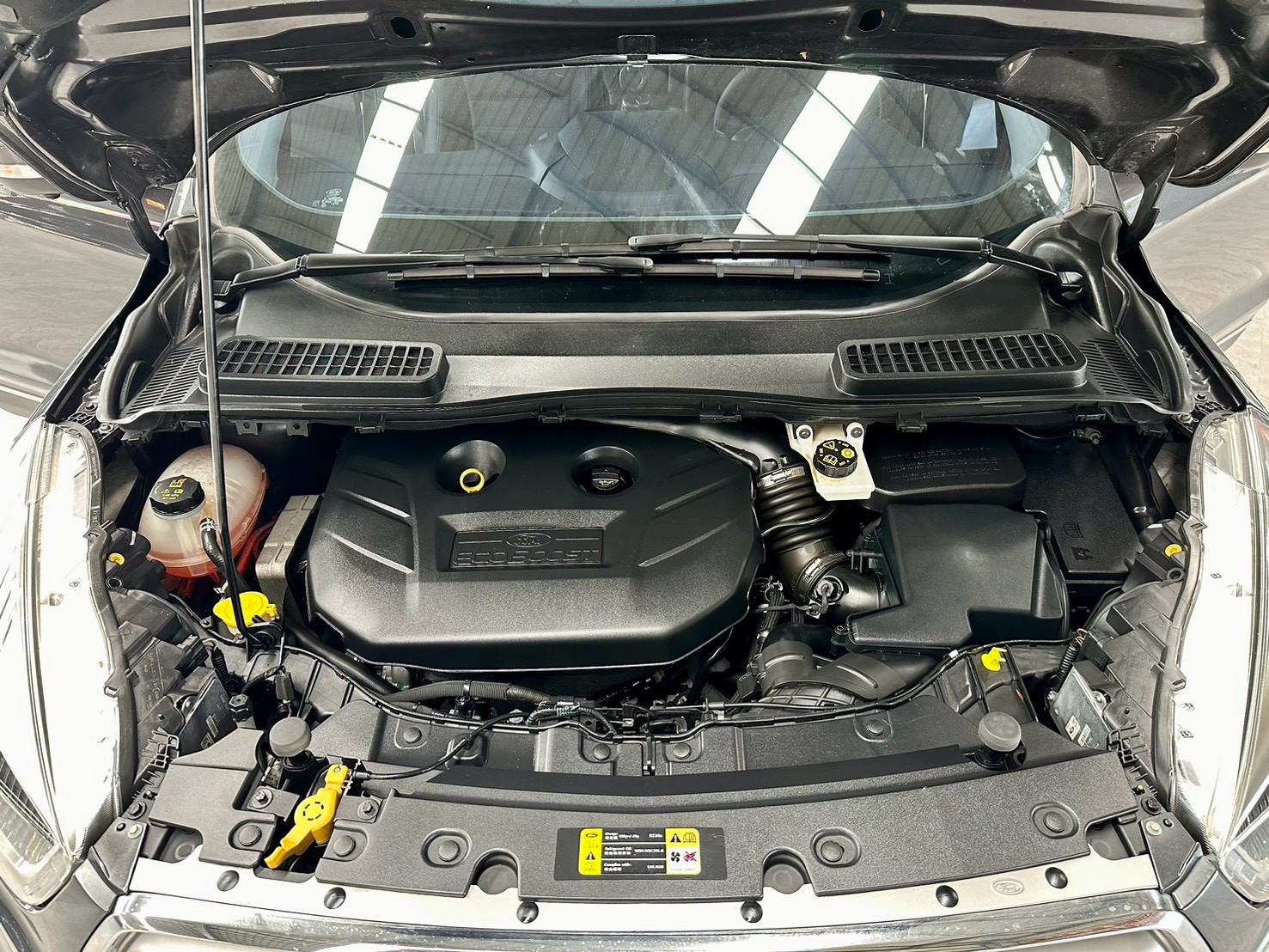 富祥汽車 FORD/福特 KUGA:圖片 5